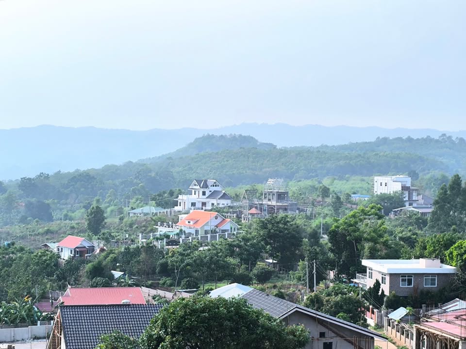 ဝယ်ရောင်း စျေးလွတ်တယ်ဆိုတဲ့ကြားမှာ အဝယ်တွေ မျက်စိလည်နေတတ်တယ်...❗