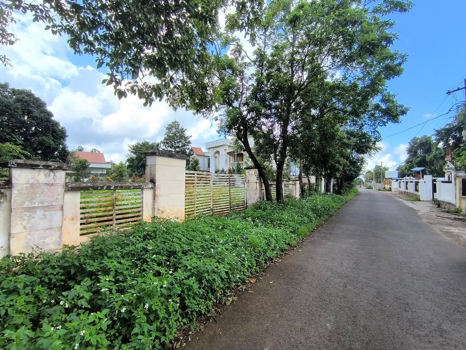 စည်သာ (၅)လမ်း၊ လမ်းမအတိုင်း ဝင်သွားပြီး လူနေမှုရှိသော ပတ်ဝန်းကျင် အိမ်များ အနီးအနားက အဝင်အထွက် ကောင်းမွန်သော နေရာမှာရှိတဲ့ ခြံဝန်းကျယ် အရောင်းလေးပါ! 🎊
