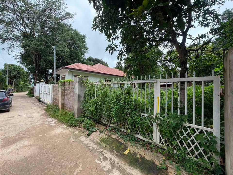 ပါချုပ်ဆရာတော်ကြီးကျောင်းဆောင်အသစ်ရှိရာ…“ကံ့ကော်လမ်း”အတွင်းမှ လမ်းသွယ် (၁) မေးတင် မြေကွက်အရောင်းလေးပါ! 🎉