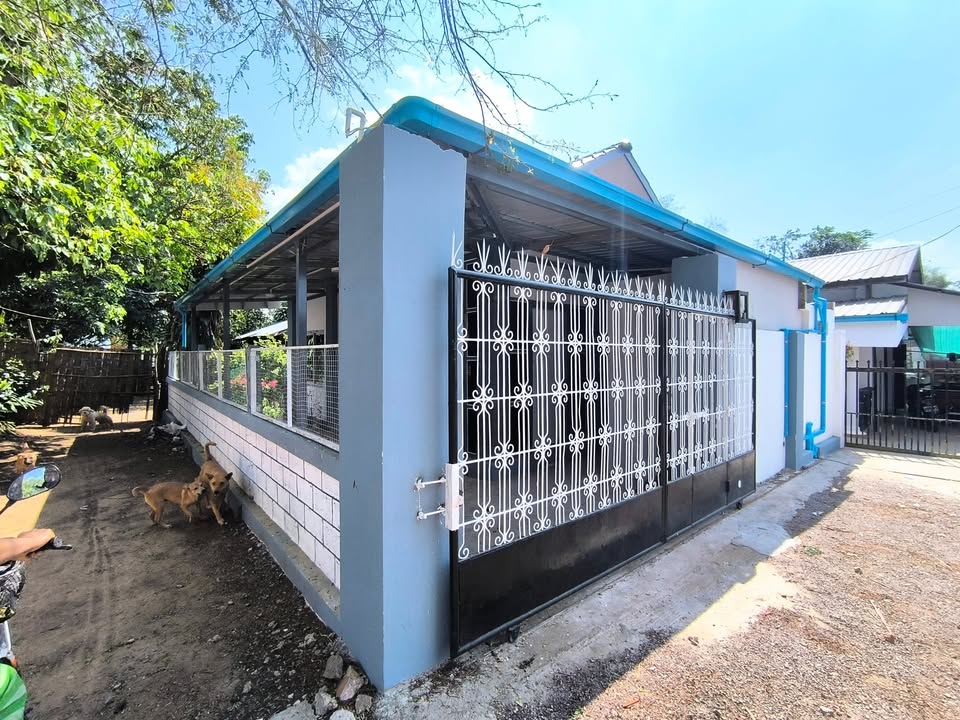 အသင့်နေ တန်ဖိုးသင့် တစ်ထပ်အိမ် အရောင်းလေးပါ!🎉